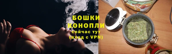 apvp Гусь-Хрустальный