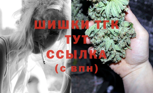 apvp Гусь-Хрустальный