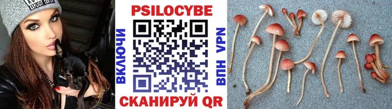 кракен сайт  Воронеж  Галлюциногенные грибы Magic Shrooms  купить наркотики цена 