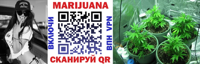 ОМГ ОМГ ONION  купить наркотики цена  Воронеж  Бошки марихуана Amnesia 